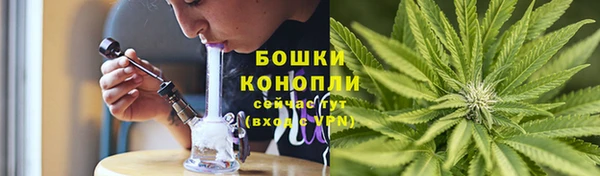 бошки Арсеньев