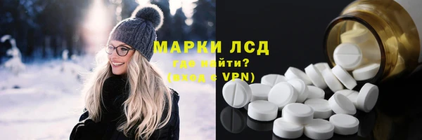 прущие грибы Рославль